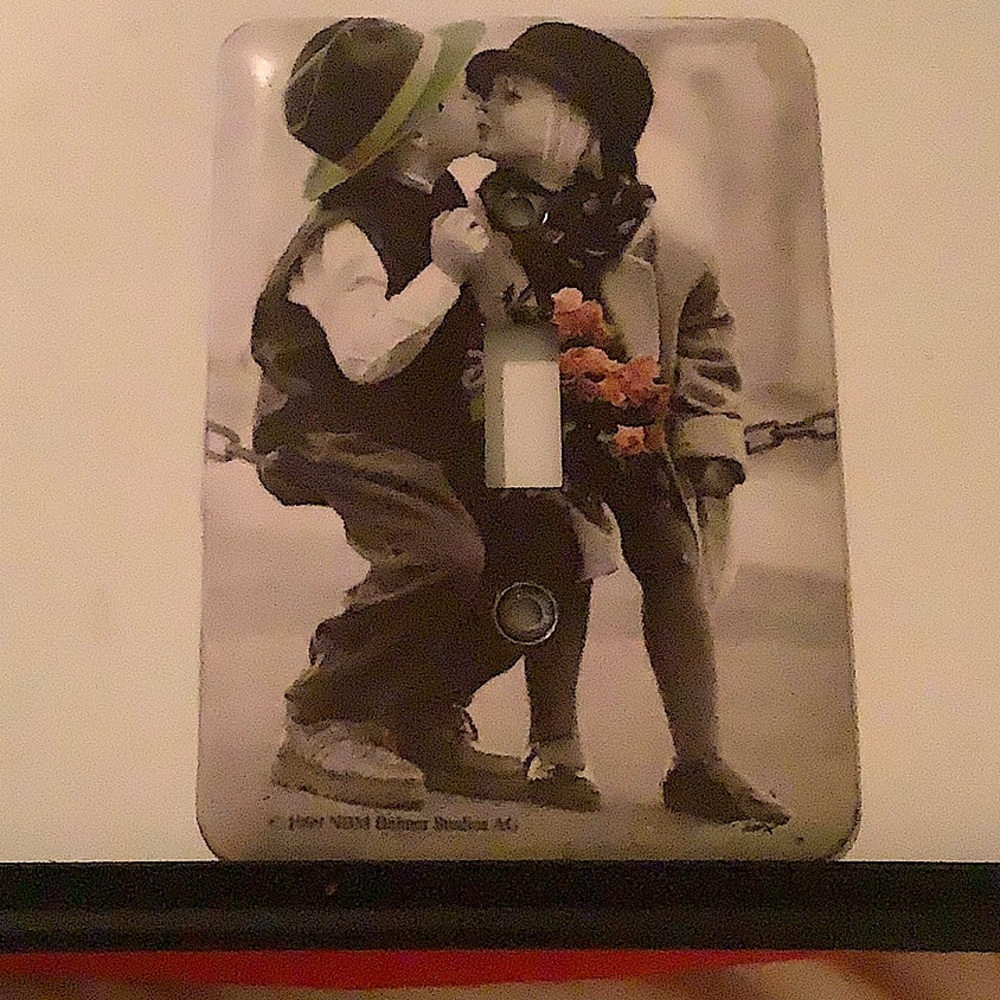 Switch plate cover (metal)